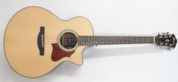 IbanezAE315 NT 